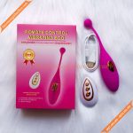 Trứng rung nòng nọc điều khiển từ xa Bạc Liêu