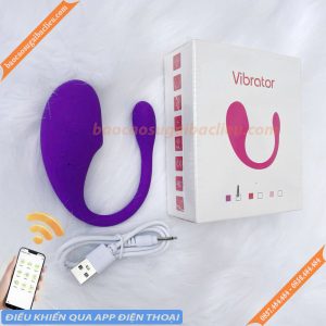 Chíp rung Vibrator điều khiển app điện thoại Bạc Liêu
